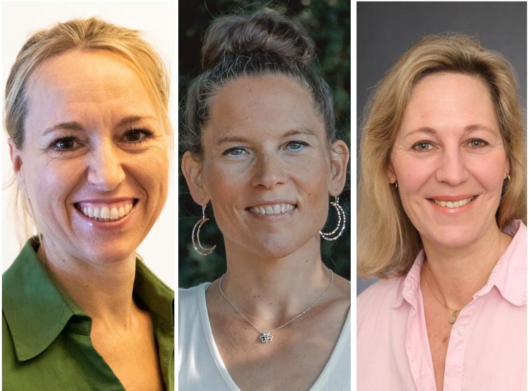 Kerstin Jepsen, Marion Müller-Assmus, Tanja Zeyn